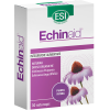 echinaid-30cps-n